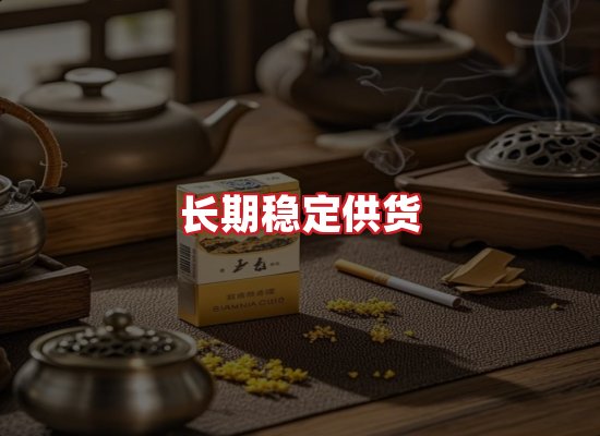 专业团队